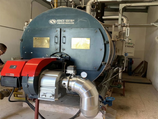 派諾尼奧低氮燃燒器